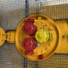 20´ ChlorineTank Container - Image 4
